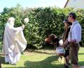 Bild: bjo
Pater Alfred Lindner (links) besprengt die Tiere, darunter ein sogar Pony, mit Weihwasser.