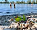 Bild: Gabi Schönberger
Auch im Naturbadeweiher in Mantel wird die Wasserqualität regelmäßig geprüft. Das Ergebnis: dem Sommerferien-Badespaß steht hier nichts im Wege. Die Wasserqualität ist hervorragend.