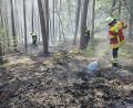 Bild: Grabinger
Die Feuerwehrleute versuchen zunächst den Brand mit Feuerpatschen in den Griff zu bekommen.
