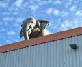 Bild: Gabi Schönberger
Der Knorr-Elefant ist zurück.