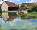 Bild: bey
Der Springbrunnen soll mit verkürzten Pausenintervallen zur Anreicherung des Wassers im Pleysteiner Stadtweiher mit Sauerstoff beitragen. Damit will die Stadt die Gefahr eines weiteren Fischsterbens in den warmen Sommermonaten verringern.