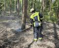 Bild: ga
Die Feuerwehrleute nutzen zunächst Feuerpatschen, um die Flammen zu ersticken.