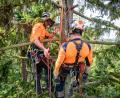 Bild: Martin Hertel/Forstbetrieb Fichtelberg/exb
Janis Schemm (links), Forstwirt beim Forstbetrieb Fichtelberg, bereitet bei einer Rettungsübung seinen „verletzten“ Kollegen Alois Krockauer auf die Bergung aus einer 25 Meter hohen Baumkrone vor.