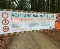 Symbolbild: ck
Wegen Baumfällarbeiten muss am Donnerstag der Triftweg in Amberg vorübergehend gesperrt werden.