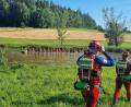 Bild: Kreiswasserwacht Amberg-Sulzbach
Insgesamt sechs Weiher mussten die Wasserwachten auf der Suche nach der 89-Jährigen bei Edelsfeld durchwaten.
