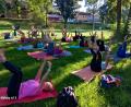Bild: hka
Bewegung für Körper und Geist: Das Thema des Yoga-Kurses im ehemaligen Sulzbacher Stadtbad lautet an diesem Abend „Flow Yoga für eine stabile Körpermitte“. Es sind Neulinge dabei, aber auch Teilnehmer mit Yoga-Erfahrung. Unter rund 20 Frauen war jedoch nur ein Mann.