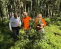 Bild: Matthias Bäumler/fph
Diese etwa zehn Jahre alte Tanne ist ein Zukunftsbaum im Stadtwald. Ihn begutachten (von links) Oberbürgermeister Oliver Weigel, Winfried Pfahler, der Leiter des Forstbetriebs Fichtelberg, und Förstern Katharina Bäcker.