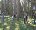Bild: as
Das rot gesprühte K steht für Käferbaum. So geballt ist das Borkenkäfer-Team selten im Einsatz: Tobias Köstler, Sophie Schödel, Hannah Raab, Tanja Adam und Fabian Paulus (von links) in einem befallenen Waldstück in Godas bei Kemnath, wo der Schädling auf dem Kühberg schon ganze Arbeit geleistet hat.