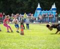Bild: exb
Beim Tauziehen: Kinder gegen einen Schäferhund.