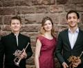 Bild: exb
Das „Trio Céleste“ gastiert am 6. Juni in der Stadtpfarrkirche Oberviechtach