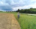 Bild: Portner
Austragslandwirt Andreas Reisinger aus Oberlangau/Oberviechtach zeigt auf den Grünland-Gewässerschutzstreifen zwischen Getreidefeld und Fluss Murach (neben Straße).