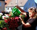 Bild: le
Johanna Lenkeit pflegt die öffentlichen Anlagen und Plätze des Marktes, wie hier am Röhrkasten.