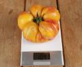 Bild: Jürgen Grünthaler
1041 Gramm zeigt die Küchenwaage für diese in Sulzbach-Rosenberg geerntete Tomate.
