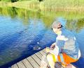 Bild: Brigitte Gschwendtner/fph
Waller-Flüsterer Helmut Steinkohl weiß, wie man „Oskar“ und seine Freunde am schnellsten aus ihrer Reserve unter dem Auenpark-Steg hervorlockt: mit Weißbrot.