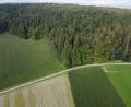 Archivbild: Gustl Beer
Der Weg auf den Fischerberg von Letzau aus. Hier gilt ein Durchfahrtsverbot für alle außer den anliegenden Landwirten und Waldbesitzern, Rettungsfahrzeugen sowie Mitarbeitern und Lieferanten der Strobelhütte – auch am kommenden Turmfest-Wochenende.