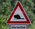 Symbolbild: Bernd Thissen /dpa
Auf einer Landstraße bei Deuerling im Landkreis Regensburg ist ein Rennradfahrer mit einem Biber zusammengestoßen.