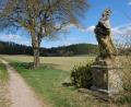 Bild: do
Den Wallfahrtsweg zum Barbaraberg begleiten Kulturschätze der Barockzeit. Auch die Sandsteinstatue der hl. Katharina gehört zu den imposanten Relikten der Volksfrömmigkeit auf dem Pilgerweg zum "heiligen Berg der Speinsharter".