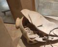 Bild: Hecht Museum/dpa
Der Krug war rund 3500 Jahre intakt, bevor ein Vierjähriger zugriff.