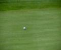 Symbolbild: Jens Büttner/dpa-Zentralbild/dpa
Ein bislang unbekannter Dieb hat in Arzberg eine Golfausrüstung gestohlen. Der Schaden: mehrere Tausend Euro.