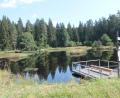 Bild: pi
Der "Sieben-Insel-Weiher" ist ein idyllisches Fleckchen und zählt laut dem Wanderwart zu den Höhepunkten der beschriebenen Tour.