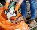 Symbolbild: Roland Weihrauch/dpa
Mit Handschuhen und Müllsäcken unterwegs: Stephanie Dienemann und ihre „Cleanup-Gruppe“ sammeln in einer Stunde schon mal 25 Kilo Müll.
