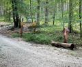 Bild: Josef Wiche/exb
Die Gemeinde Mehlmeisel und die Bayerische Staatsforstverwaltung haben vor 50 Jahren den Moosknockbrunnen sowie dessen Umfeld anlegen lassen.