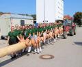 Bild: bjo
Beim Transport des Kirwabaums saßen die Moidln auf dem Baum (bjo)