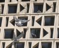 Bild: Gabi Schönberger
Für die Tauben scheint die Fassade des Josefshauses zum Nisten ideal – die meisten Weidener sehen das anders.