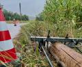 Bild: Gabi Schönberger
Ein Autofahrer rammt einen Telefonmast, das Auto kommt im Maisfeld zum stehen.
