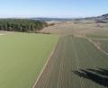 Bild: bey
Am Waldrand (links) sollte laut Planung ein Windrad errichtet werden. Das ist momentan durch die Vorgaben des Regionalen Planungsverbandes Oberpfalz-Nord infrage gestellt.