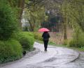 Symbolbild: Marcus Brandt/dpa
Am Wochenende gibt's viel Regen - in der Oberpfalz aber keine große Hochwassergefahr.