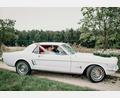 Bild: Heinke Scheel/exb
Weißer Lack, rotes Interieur, blitzende Chromteile: Der 1966 gebaute Ford Mustang von Lenz Leberkern aus Krummennaab ist ein beliebtes Hochzeitsauto. Durch den kernigen Sound des V8-Motors sorgt der Oldtimer nicht nur optisch für Aufsehen.