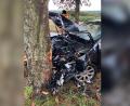 Bild: PI Neustadt Waldnaab
Am Montagmorgen kam eine 19-jährige Audi-Fahrerin in der Felixallee von der Fahrbahn ab und prallte gegen einen Baum.