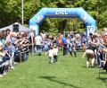 Bild: no
Archivbild Kinderlauf 2023: begeisterte Zuschauer, welche die kleinen Läuferinnen und Läufer, beim Zieleinlauf anfeuern