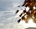 Symbolbild: Angelika Warmuth/dpa
Der Herbst ist da.