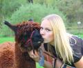 Bild: Evi Wagner
Leila Smekal und eines ihrer flauschigen Familienmitglieder. Der Eindruck sollte nicht täuschen: Im Allgemeinen sind Alpakas keine Kuscheltiere.