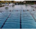 Bild: mrr
Am vorletzten Badetag kamen bei rund 18 Grad Außentemperatur die Dauergäste noch einmal zum Schwimmen.