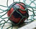 Symbolbild: Hubert Ziegler
Der Ball landete zu wenig oft im gegnerischen Tor: Die Sulzbacher Handballerinnen zogen in Bayreuth den Kürzeren.