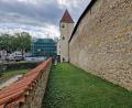 Bild: Tobias Gräf
Der Bereich zwischen innerer und äußerer Stadtmauer heißt Zwinger. Aus mehreren Gründen eignet sich das Areal hervorragend für ein Taubenhaus. Doch die Pläne der Stadt wurden vom Landesamt für Denkmalpflege durchkreuzt.