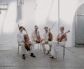 Bild: Marlene Mauer/exb
Das Paranormal String Quartet.