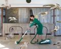 Bild: Claudia Grünig/exb
Das Werk von Claudia Grünig heißt "Die Vögel".