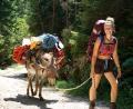 Bild: Lotta Lubkoll/exb
Esel Jonny und Lotta Lubkoll auf Tour.