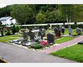 Bild: tra
Die Lücken im Friedhof Ensdorf können nach dem Beschluss des Gemeinderats nun auch mit Urnenerdgräbern belegt werden.
