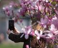 Bild: Sebastian Willnow/dpa
Selfies vor hübschem Hintergrund sind beliebt. In Amberg soll es vier Selfie-Points geben. Das gefällt nicht jedem.