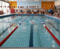 Archivbild: jma
Von Donnerstag bis Montag, 3. bis 7. Oktober, bleibt das Auerbacher Hallenbad – hier ein Archivbild von den städtischen Schwimmmeisterschaften – fünf Tage geschlossen.