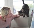 Bild: Daniel Löb/dpa
Weil die Festangestellten in Tierheimen voll ausgelastet sind, übernehmen ehrenamtliche Katzenstreichlerinnen wie Christina Haas das Kraulen und Spielen.