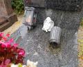 Bild: nic
In der Nacht von Dienstag auf Mittwoch beschädigten Diebe eine Vielzahl an Gräbern auf dem Wiesauer Friedhof. Grablichter und weitere Grabdeko aus Metall wurde aus seiner Verankerung gerissen.