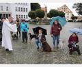 Bild: kro
Stadtpfarrer Dr. Thomas Vogl bei der Tiersegnung vor der Basilika.