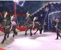 Bild: kro
Renado Kübler mit den beiden Pferden Aragon und Amigo im Zirkus-Rondell