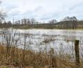 Bild: Petra Hartl
Die Vils tritt bei Hochwasser über die Ufer - im Bild eine Stelle bei Laubhof, wo der Fluss ordentlich viel Platz hat. Auch bei Vilseck soll das Wasser künftig mit zwei zusätzlichen Flussschleifen bei Bedarf mehr Raum einnehmen dürfen.